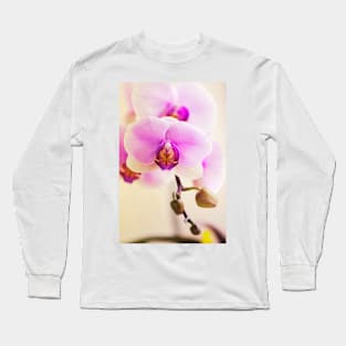 Phalaenopsis Hinamatsuri 'Blushing Bride' (C007/3241) Long Sleeve T-Shirt